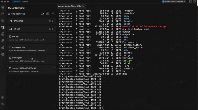 Command Execution Demo