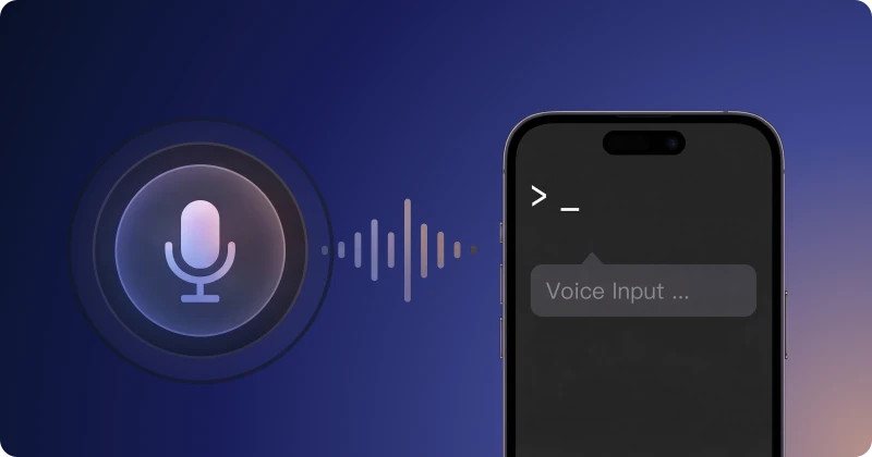 Voice Command